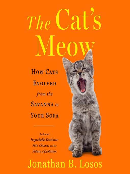 Cover of The Cat's Meow